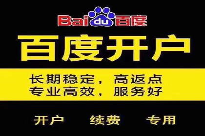 案例分析：SEM广告助力电商行业突破